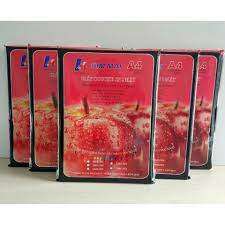 Giấy Couche in 2 mặt bóng 300 Kim Mai
